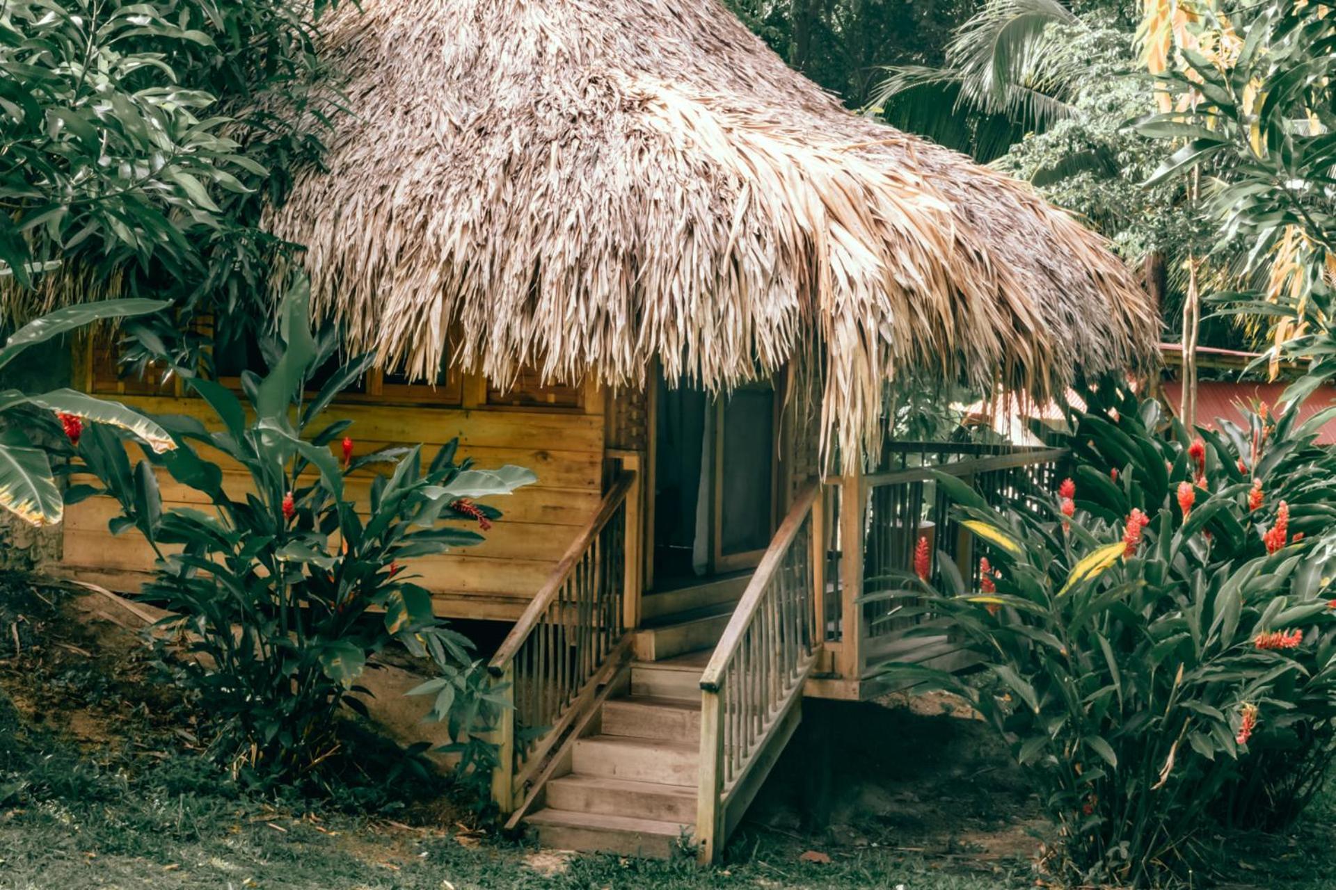 Magic Green Dentro Del Parque Tayrona El Zaino Exteriör bild